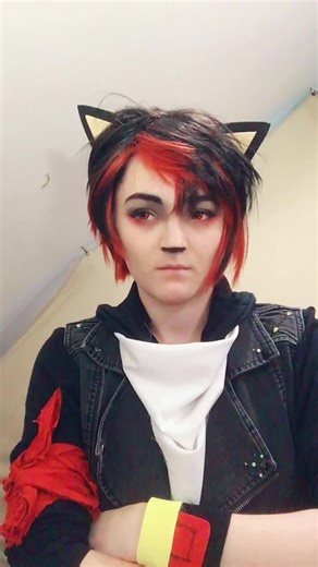 Shadow the Hedgehog Cosplay Guide: Tips and Tricks for Sonic Fans