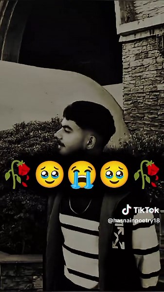 Exploring Feelings in Poetry: A Visual Journey