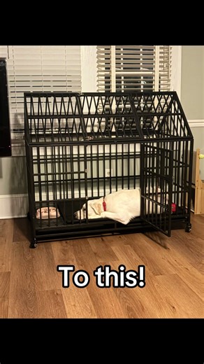 This took lotsss of time and patience… but it’s so rewarding to see how much happier, safer, and more comfortable she is. I’ve heard it’s a husky thing🤷‍♀️. Let me know if you want to know how I did it and what worked for us! #crateanxiety #dogtraining #husky #lab #jet2holiday