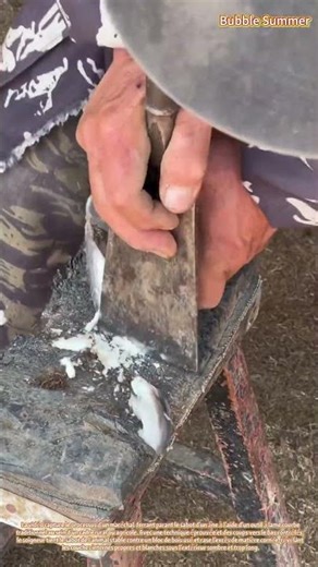 Travail de Maréchal-Ferrant : Parage du Sabot d'un Âne avec une Lame Traditionnelle