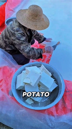 Why Chinese Farmers Fill Pools with Sweet Potatoes 🤯🍠