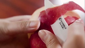 Premium Heavy Duty Kitchen Shears, Multifunction Kitchen Scissors, Latest and Smart Designed, As Sharp As Any Knife, Black-Red (Heavy Duty Kitchen Shears)