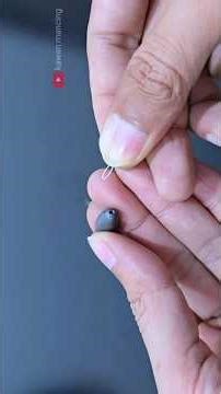 Most anglers don't know this trick! this is the best way to set the fishing rigs