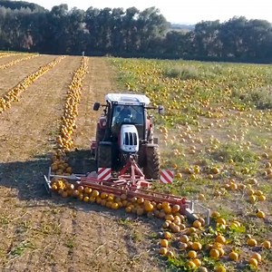 28M views · 301K reactions | these seven machines help harvest produce faster.  | Inventions Insider | Facebook