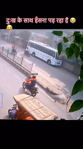 5.2M views · 10K reactions |  . . . ,,,,,❤️,,,,,,,鹿,, ,,,...