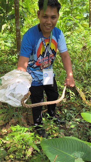 Don't hurt them, just free them #snake #python