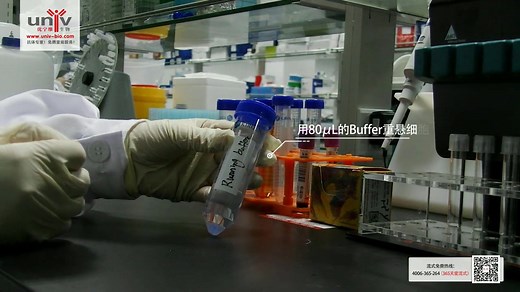 美天旎(MACS)磁珠阳性分选操作视频