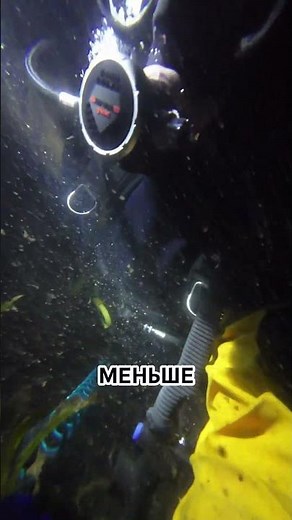 Night diving 🤿🌙 #diving #aksenovscubadiving