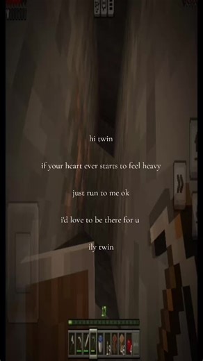 Heartfelt Message for Your Twin | Minecraft Relatable