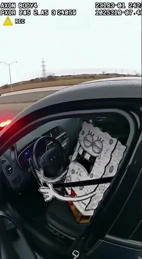 DoodleBob at Large Pulled Over During High Speed Chase