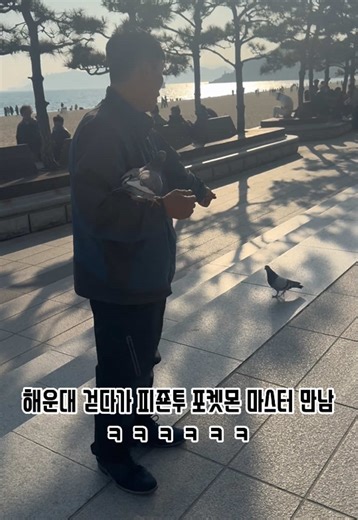 해운대 비둘기 아저씨의 특별한 묘기