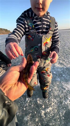 Family fishing #upnorth #outdoor #familyfun #fishing #dadlifebelike