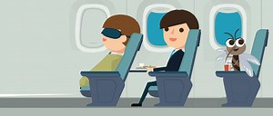 Should you worry about mosquitoes on planes? - Science Journal for Kids