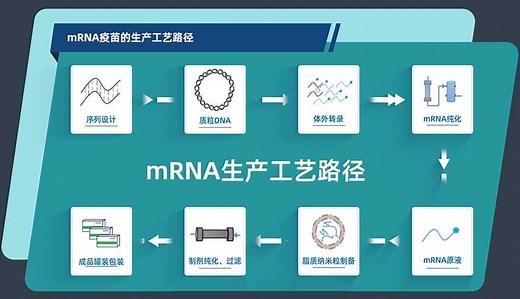mRNA疫苗的生产工艺路径