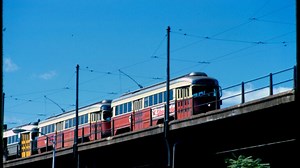 How did the T lines get their colors?