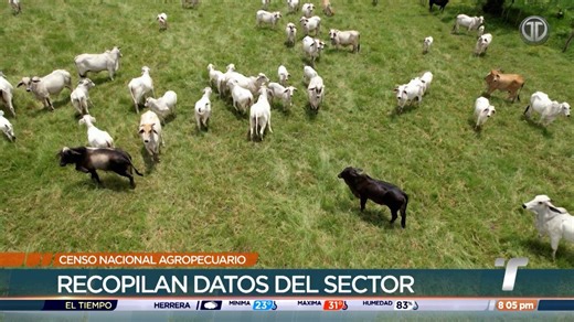 Inicia el VIII Censo Nacional Agropecuario