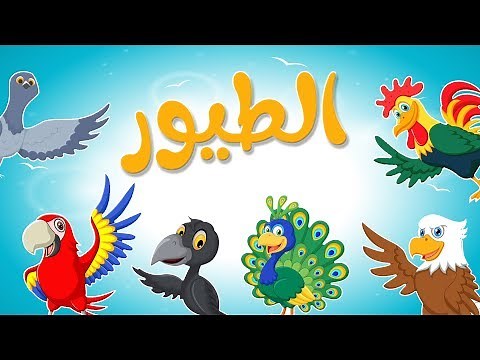 أنشودة الطيور قناة أسرتنا