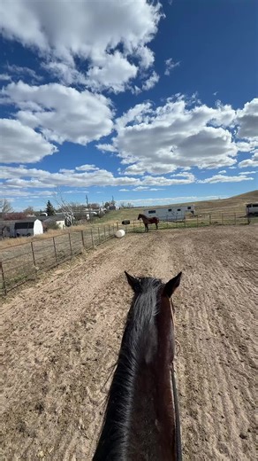So grateful to call this place out home!