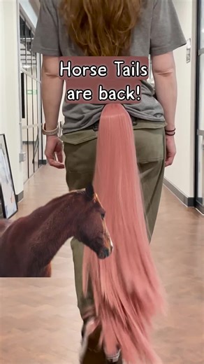 The Tail Company 🦊 | Horse Tails are BACK! 🐎 Based on our Mini system, the Horse tail has 4 moves, and all the modes from the app. You can use Walk Mode,... | Instagram