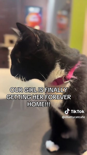 Winnie Finds Her Forever Home After Nearly a Year!