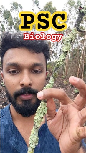 Lichen #psc #keralapsc #biology #lichen