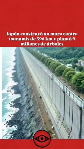 VERDADES IMPACTANTES on Instagram: "Japón construyó una muralla antitsunamis de 395 km y plantó más de 9 millones de árboles a lo largo de su costa. El objetivo es proteger a las comunidades de los tsunamis, las mareas de tormenta y el aumento del nivel del mar. Esta combinación de ingeniería a gran escala con soluciones naturales muestra cómo es posible abordar los desastres climáticos de manera integrada. Este proyecto ya se considera un modelo global de resiliencia: une tecnología, sostenibil