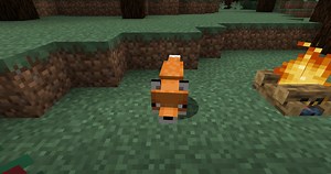 How to Tame a Fox in Minecraft?