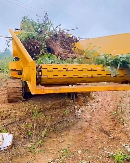 8.4K views · 17 reactions | Wood Shredder Machine Grinding Tree Waste #WoodShredder #RecyclingMachine #AgriculturalWork #LandClearing #EcoMachinery | lamaestramiel | Facebook