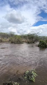 240K views · 6.2K reactions | passagem molhada do Riacho novo , antes e depois das fortes chuvas, no interior de Ipaporanga Ceará . . . . . . . . . . . @aguabrancaaa . . . . . . . . . . . . . . . #natureza_brasil #ceara #sertao #interior #nordeste #ipaporanga #crateus #ararenda #poranga | Água Branca | Facebook