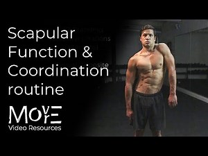 Scapular Function & Coordination Routine