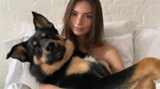Emily Ratajkowski’s Dog Columbo: Breed, Age, and More