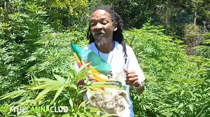 1.7K views · 43 reactions | South Africa’s Hidden Rastafari Capital – A Rare Look Inside Judah Square Part 4 | The CannaClub | Facebook
