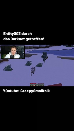#creepysmalltalk #entity303 #herobrine #minecraft #mythen #creepypasta #horror #darknet
