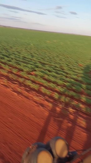 lele da equipe tomba porco on Reels