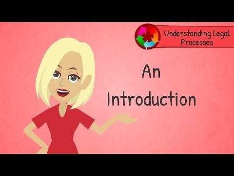 Understanding New Zealand Legal Processes: An Introduction