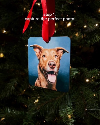 Preserve cherished moments for generations to come 📷💝. Create heartfelt photo gifts that become treasured family heirlooms, made easy and fast just in time for the holidays! 💕🎄 | Shutterfly