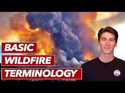 How to Describe the Behavior and Parts of a Wildfire