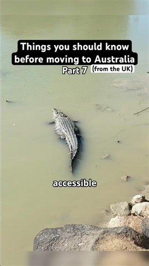 One Thing That Surprised Us About Living in Australia 🦜😳