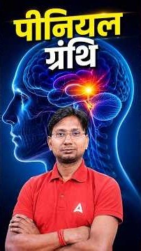 पीनियल ग्रंथि क्या करती है? | Pineal Gland Function #PinealGland #Biology #BiologyGK #HumanBody
