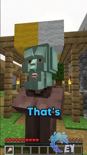 Minecraft, But I Have to Color My World…