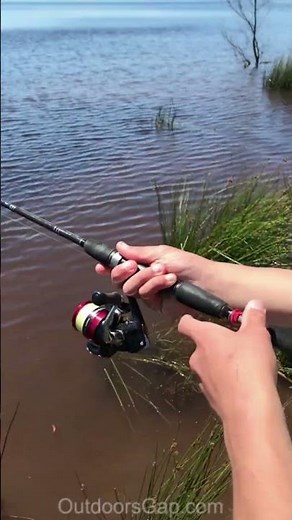 FISHING ROD COMBO Shimano Sienna Reel & Quickfire #shorts