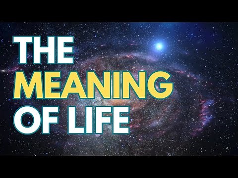 What Is Life? (Explained in 4 Minutes)