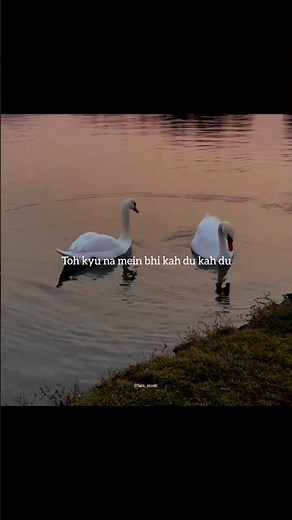 Tera hone laga hu song lyrics || Whatsappstatus || lyrics edit #music #songlyrics #lovesong