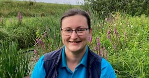 How to build your very own mini-wetland! Listen here: https://bbc.in/3OIPtJh for all you need to know. | BBC Cambridgeshire