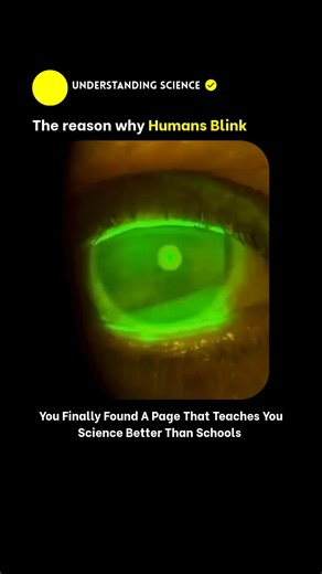 🧪 on Instagram: "The blink reflex initiates the distribution of a lubricating tear film across the ocular surface, which is essential for maintaining corneal hydration, optical clarity, and epithelial protection. Upon cessation of blinking, this film begins to destabilize and evaporate rapidly—within seconds in healthy individuals. Prolonged visual tasks, such as screen use, significantly reduce blink frequency and completeness, leading to extended tear film exposure. The resulting evaporation 