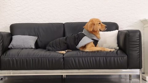 SofaBaton X1S Universal Remote with Hub and App, All in One Smart Universal Remote Control with Customize Activities, Control Up to 60 IR/Bluetooth/WiFi Devices