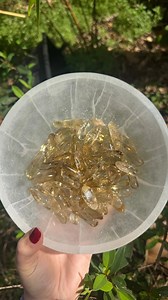 These Natural Citrine tumbles have just arrived in the shop! Citrine is the stone of abundance, confidence, & joy! It helps to attract prosperity, boost motivation, & bring sunny, uplifting energy in your life! ⭐️ Keep in your wallet to invite wealth, or carry it with you for a boost of confidence throughout your day! - #citrine #naturalcitrine #africancitrine #tumbles #crystals #prosperity #wealth | The Village Mystic