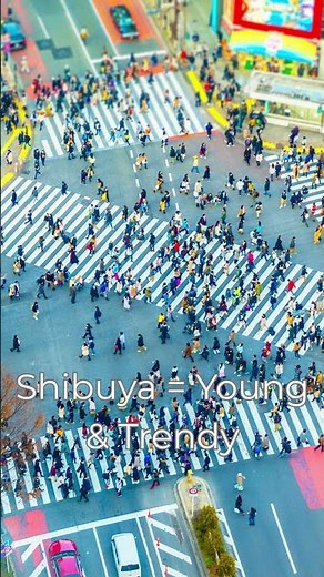 Shinjuku vs Shibuya 🇯🇵 Where Should You Stay?