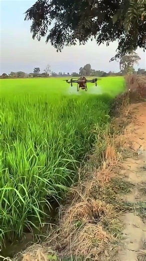 T70 Đã Qúa. | Agri Drone Experience