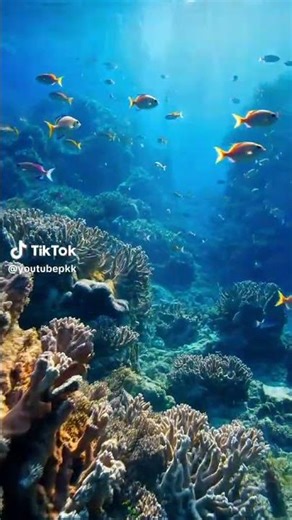 Nature is Amazingly Beautiful 🌿 4K Relaxing Scenic Views with Peaceful Music